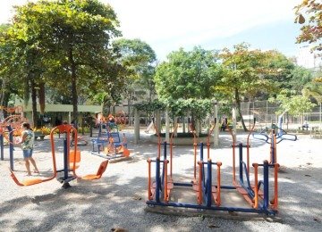 70 parques de Belo Horizonte, incluindo o Parque Aggeo Pio Sobrinho, funcionam neste feriado de 8 de dezembro -  (crédito: Juarez Rodrigues/EM/D.A. Press)