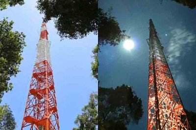 O Observatório da Torre Alta da Amazônia (ATTO) é uma das mais importantes iniciativas científicas já instaladas na maior floresta tropical do planeta. 
 -  (crédito: Divulgação)