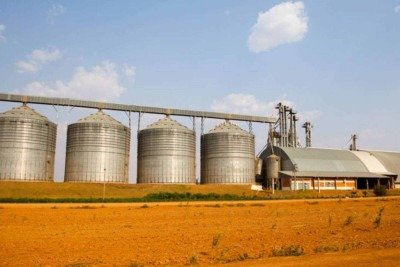 Produtores avaliam cobrar indenizações em razão da Moratória da Soja -  (crédito: Platobr Economia)