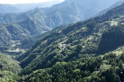 O Japão é um dos países mais envelhecidos do mundo, e a agricultura rural reflete essa realidade: a idade média dos agricultores chega a 80 ou até 90 anos em áreas montanhosas. -  (crédito: Reprodução/YouTube )