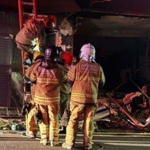 Nove cães são resgatados de incêndio em BH - CBMMG/Divulgação