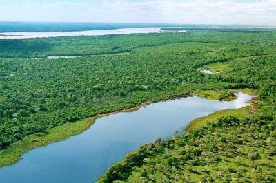 Você sabia que o Brasil abriga a maior ilha fluvial do mundo? Trata-se da Ilha do Bananal, localizada no estado do Tocantins. -  (crédito: Márcio Di Pietro / Secom)
