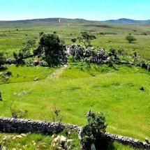 Pesquisadores se esforçam para proteger uma das aves mais ameaçadas do mundo na Serra da Canastra - Reprodução de vídeo Divulgação