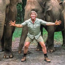 Pra quem não viu: Ele caçava crocodilos, mas foi morto por outro animal -   Divulgação