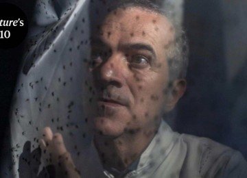 Luciano Moreira foi reconhecido por conta da biofábrica de mosquitos capaz de reduzir casos de dengue, zika e chikungunya -  (crédito: Credit: Gabriela Portilho for Nature)