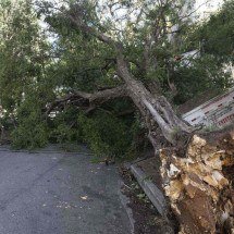 São Paulo enfrenta ventos de quase 100 km/h nesta quarta-feira - Danilo Verpa/Folhapress