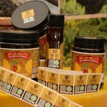 Melato de Bracatinga é um tipo de mel cada vez mais valorizado; saiba por quê - Rodrigo Rocha/Divulgação/Foto Argus)