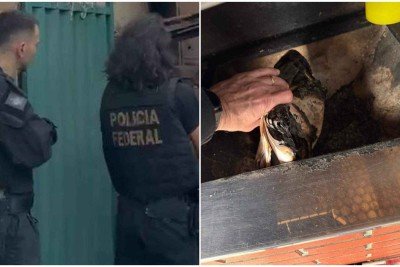 Investigações começaram depois que a Polícia Federal recebeu denúncia sobre o não pagamento de cheques emitidos para a compra de notebooks -  (crédito: Polícia Federal / Divulgação)