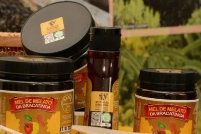 O melato da bracatinga conquistou status de “produto de excelência” depois que pesquisas internacionais identificaram sua composição diferenciada: rico em sais minerais, aminoácidos e com baixa cristalização.  -  (crédito: Rodrigo Rocha/Divulgação/Foto Argus))