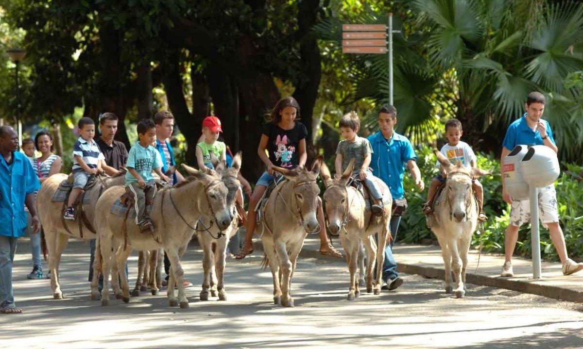 Os burrinhos do Parque Municipal são parte da memória afetiva de Belo Horizonte, pois sempre fizeram a alegria das crianças -  (crédito: Jackson Romanelli/EM/D.A Press)