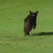 Superstições comuns no Brasil: você tem alguma? -  Reprodução Cazé TV