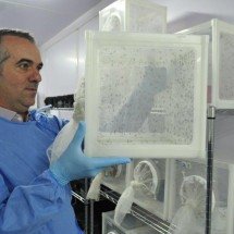 "Sempre quis fazer ciência que chega na sociedade", diz destaque da Nature - Peter Ilicciew / Wolbito