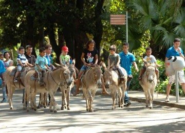 Os burrinhos do Parque Municipal são parte da memória afetiva de Belo Horizonte, pois sempre fizeram a alegria das crianças -  (crédito: Jackson Romanelli/EM/D.A Press)