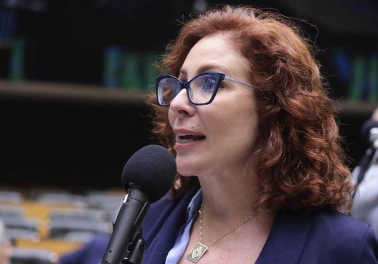 Geraldo Magela/Agência Senado