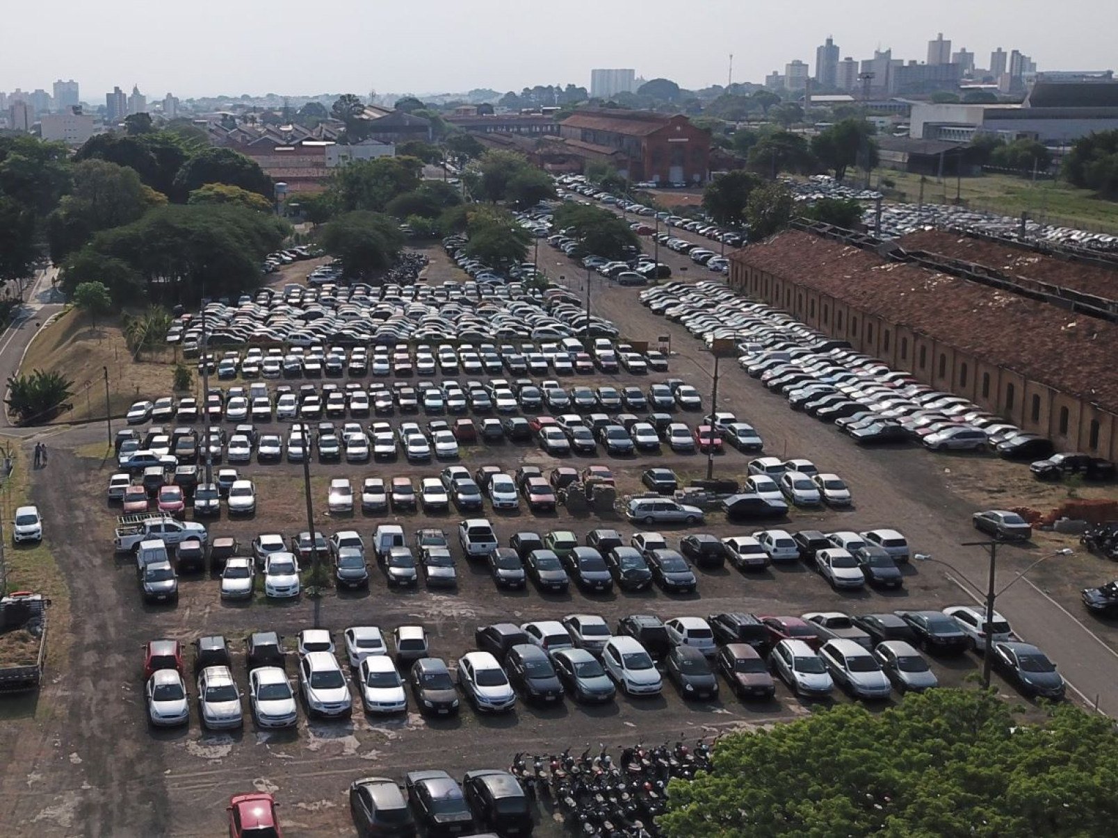 Leilão reúne 259 veículos apreendidos na Emdec Campinas (SP) - DINO