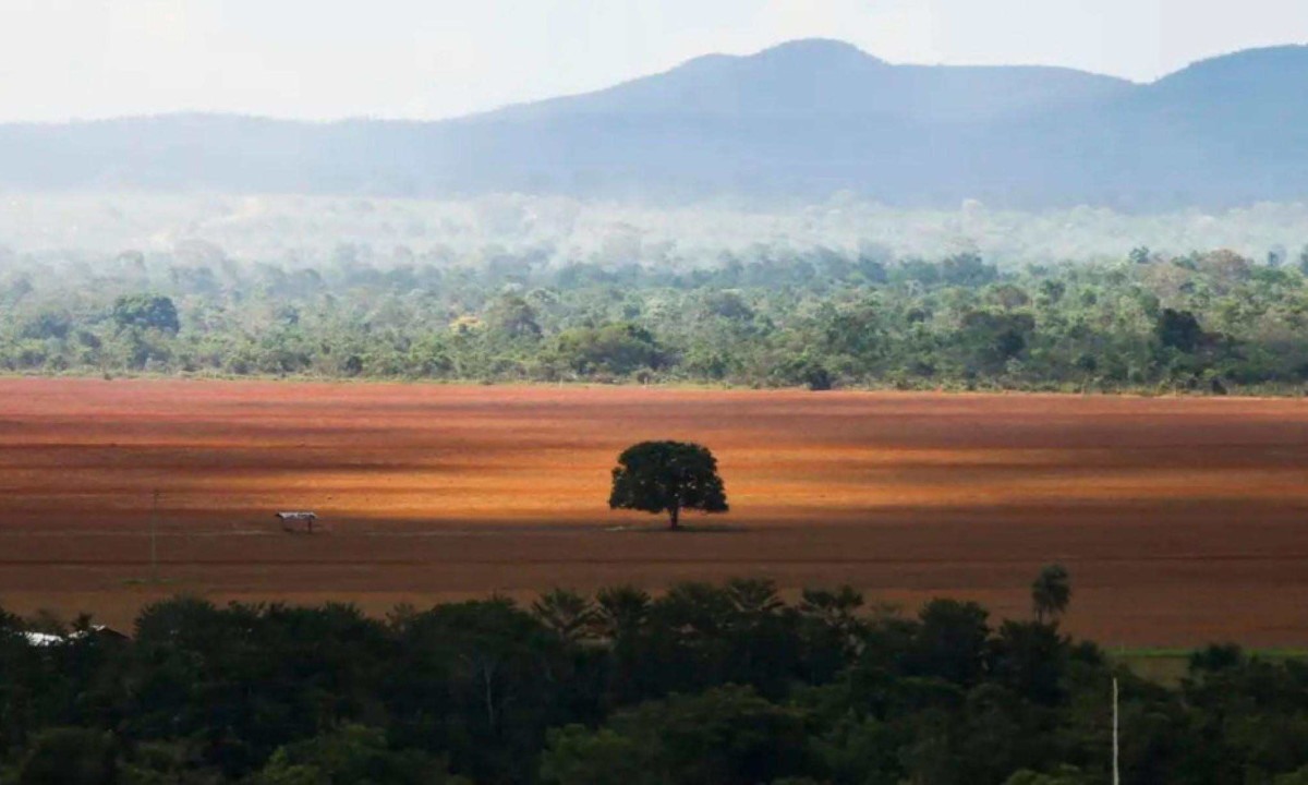 Agro pede que só produção exportada à UE cumpra regra europeia antidesmatamento - (crédito: Platobr Economia)