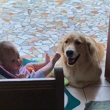 Golden retriever encanta ao ‘cuidar’ de bebê sem a mãe presente - TikTok/@arianeoliveira_mua
