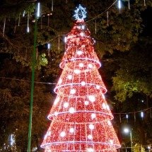 Árvore de 22 metros é um dos destaques da decoração no Parque Halfed, em Juiz de Fora -  (crédito: PJF/Divulgação)