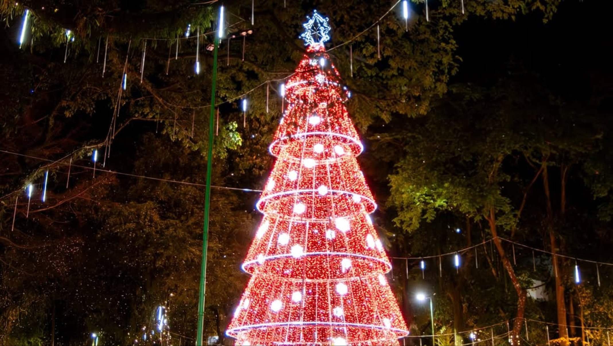 Árvore de 22 metros é um dos destaques da decoração no Parque Halfed, em Juiz de Fora - (crédito: PJF/Divulgação)