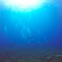 Cápsula para ‘viver’ no fundo do mar tem cozinha e beliches - Freepik/tirachard