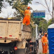 Damião destaca resposta imediata e ausência de vítimas após temporal em BH - Jair Amaral / EM / D.A Press