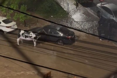 Enxurrada acabou levando mobílias e decorações, entre elas estava a escultura de uma vaca malhada, do bar Vaca Loka -  (crédito: Redes Sociais / Reprodução)