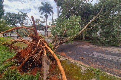 Após temporal em BH, concentração de chamados para atendimento da Defesa Civil ficou concentrado nas regionais Pampulha e Venda Nova -  (crédito: Jair Amaral / EM / D.A Press)