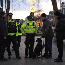 Número de mortos em ataque na Austrália sobe para 16 (polícia)