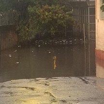 Chuva em BH: ventania e ruas alagadas são registradas neste domingo (14/12) - Rafael Rocha/EM/D.A Press