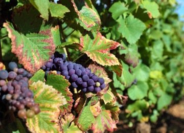 JCStudio/Freepik -  (crédito: JCStudio/Freepik)