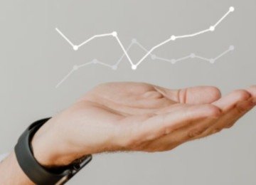 Não se nega a porção funcional da floresta – e, em última instância, também da vida -, mas reduzir toda a interpretação da realidade a tal aspecto, parece ser uma inaceitável diminuição do valor intrínseco das coisas -  (crédito: Freepik)