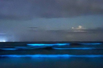 Moradores e turistas da vila de Itamambuca, em Ubatuba, no litoral norte de São Paulo, testemunharam um espetáculo luminoso no mar. Foi em março de 2025
 -  (crédito: Reprodução Instagram @vidacaicara.uba)