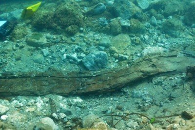 Arqueólogos italianos acharam restos de uma embarcação que naufragou há 2.500 anos em Santa Maria del Focallo, na Sicília, ilha mediterrânea da Itália. Na escavação subaquática, os exploradores também descobriram seis âncoras antigas.
 -  (crédito: Reprodução/Soprintendenza del Mare)
