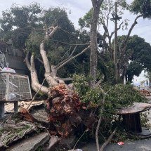 Moradores de BH estão sem energia há quase três dias - Edésio Ferreira/EM/DA Press