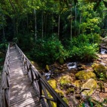 Lumiar: onde o tempo dança devagar e a natureza canta - Studio Cromo Comunicação/ Divulgação