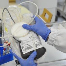 Hemominas alerta para nível crítico no estoque de sangue em época de festas - Gladyston Rodrigues/EM/D.A Press