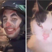 Motoboy aceita gato como parte de pagamento de entrega - ReproduÃ§Ã£o / Instagram