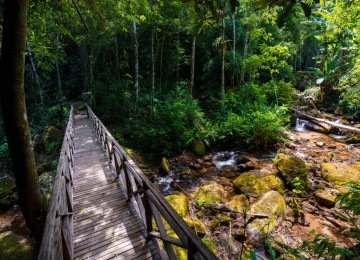 A natureza é protagonista e dita o ritmo da estadia em Lumiar, distrito de Nova Friburgo -  (crédito: Studio Cromo Comunicação/ Divulgação)
