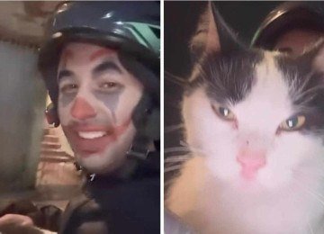 Motoboy fez negÃ³cio e levou gato como parte do pagamento -  (crédito: ReproduÃ§Ã£o / Instagram)