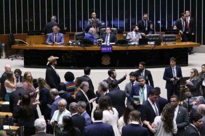 Rey estuda há 15 anos o fortalecimento do Congresso e prepara um livro sobre a presidência da Câmara -  (crédito: Reprodução/Instagram/@naia.dandrea_arte)