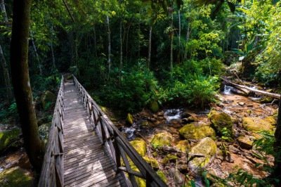 A natureza é protagonista e dita o ritmo da estadia em Lumiar, distrito de Nova Friburgo -  (crédito: Studio Cromo Comunicação/ Divulgação)