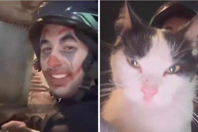 Motoboy fez negÃ³cio e levou gato como parte do pagamento -  (crédito: ReproduÃ§Ã£o / Instagram)