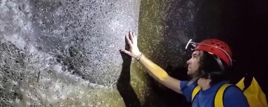 Um estudo publicado na revista Subterranean Biology em 2024 descreve a descoberta de uma enorme colônia de aranhas na Caverna do Enxofre, na divisa entre Albânia e Grécia. -  (crédito: Reprodução de vídeo/X/@jameswebb_nasa)