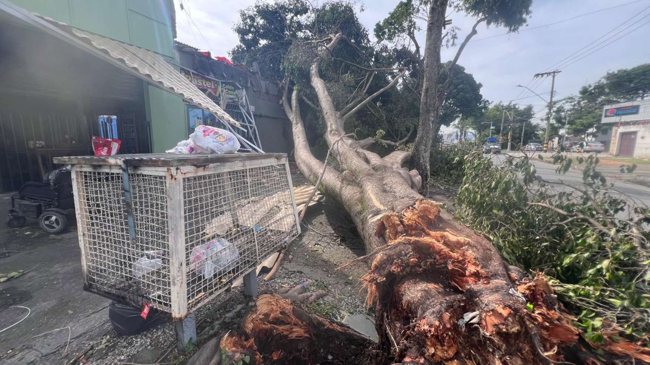 Árvore caiu e atingiu casa Rua Dalva de Matos, no Bairro Rio Branco, Região de Venda Nova, em BH-Edésio Ferreira/EM DA/Press