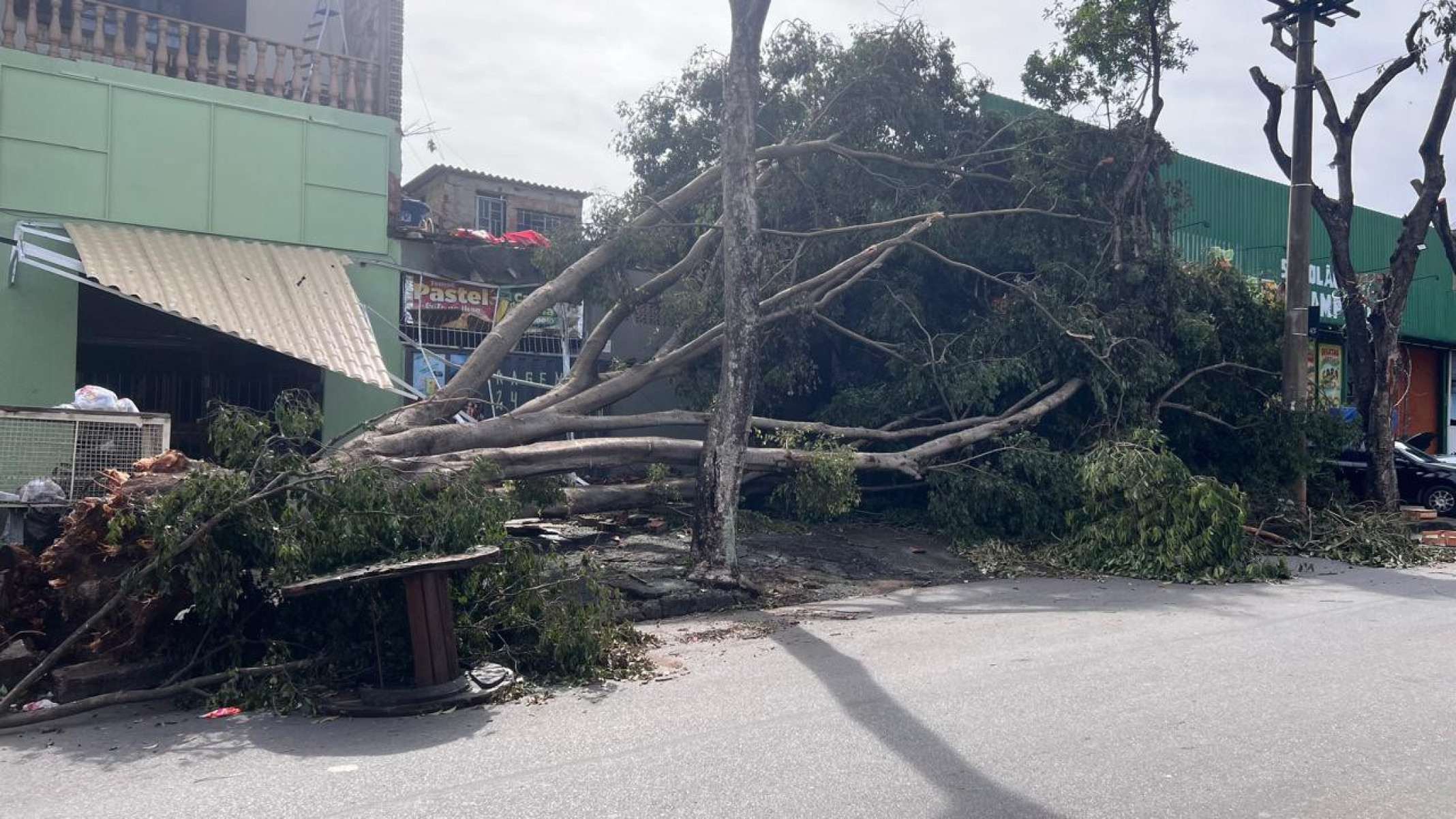 Árvore caiu e atingiu casa Rua Dalva de Matos, no Bairro Rio Branco, Região de Venda Nova, em BH-Edésio Ferreira/EM DA/Press