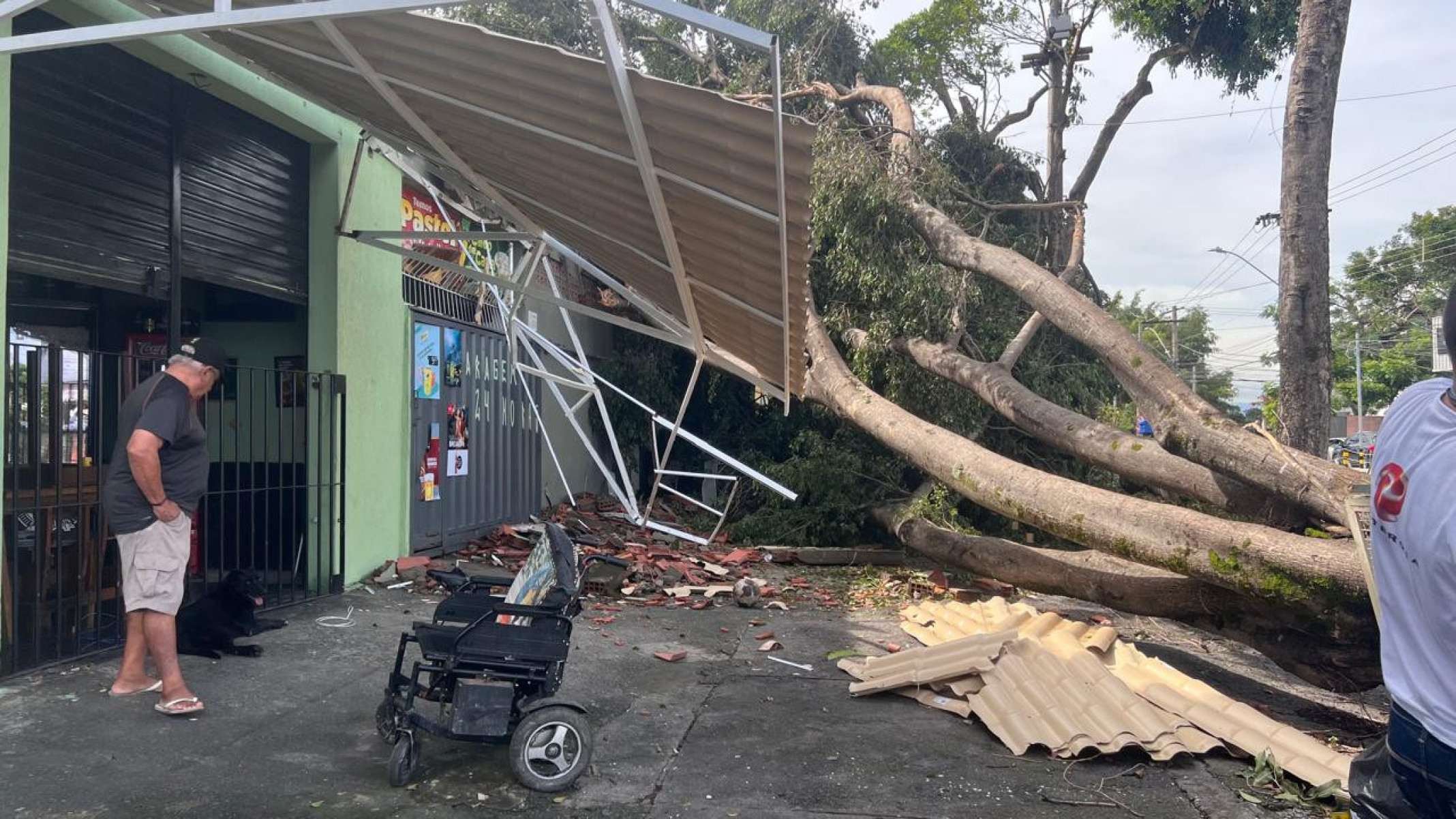 Árvore caiu e atingiu casa Rua Dalva de Matos, no Bairro Rio Branco, Região de Venda Nova, em BH-Edésio Ferreira/EM DA/Press