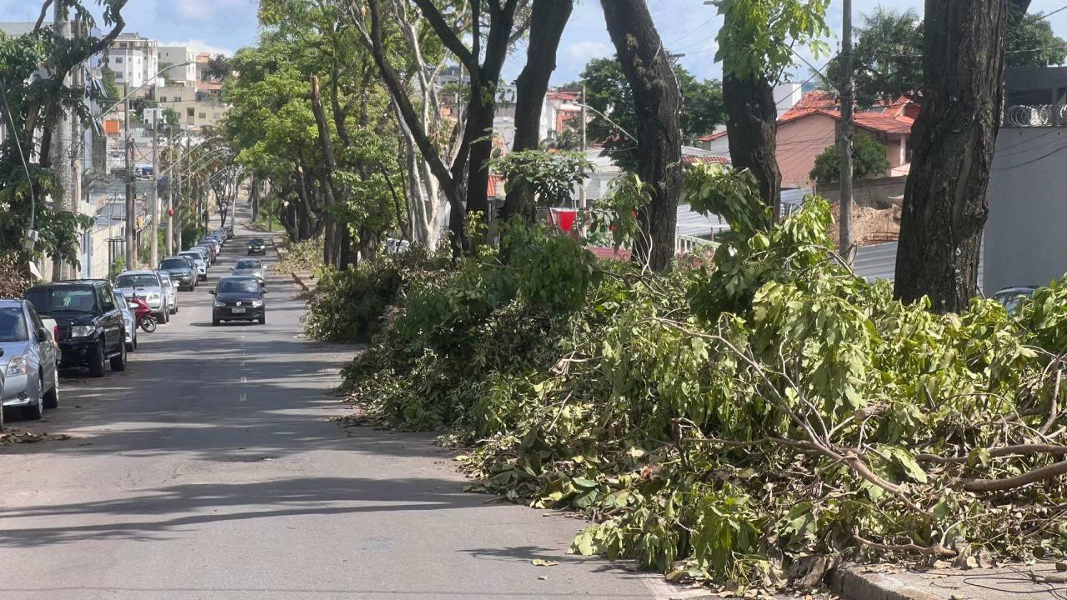 Árvore cai na Avenida Ministro De Oliveira Salazar, no Bairro Santa Mônica, na Região Pampulha, em BH-Edésio Ferreira/EM DA/Press