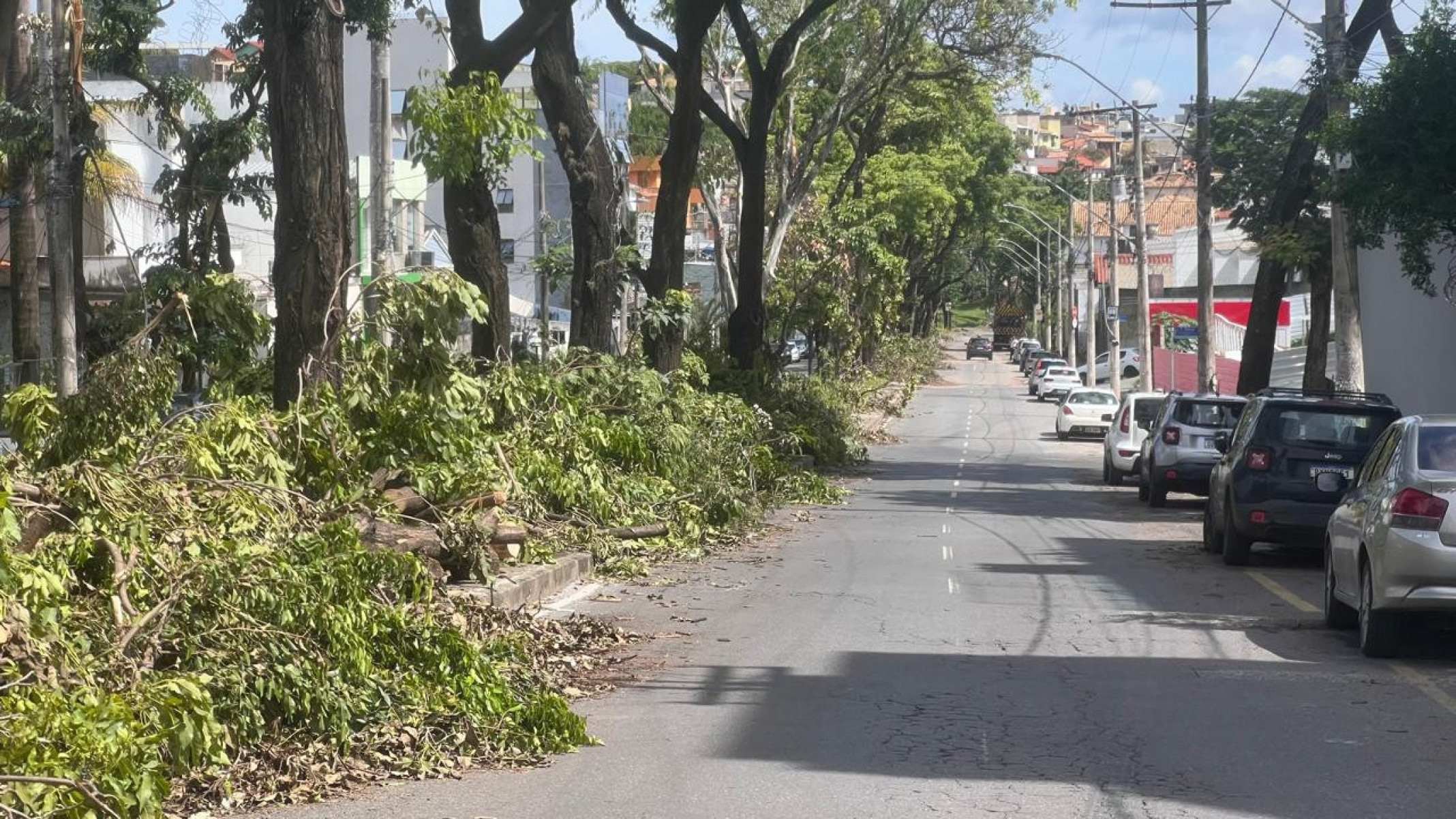 Árvore cai na Avenida Ministro De Oliveira Salazar, no Bairro Santa Mônica, na Região Pampulha, em BH-Edésio Ferreira/EM DA/Press