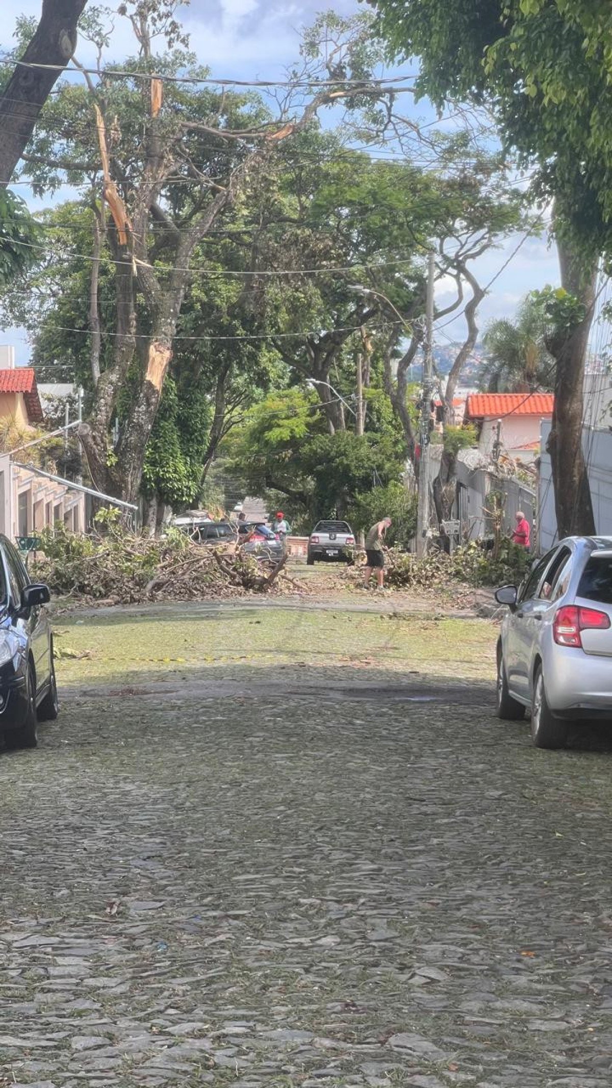 Queda de árvore na Avenida Deputado Anuar Menhen, no Bairro Santa Mônica, Região Pampulha, em BH-Edésio Ferreira/EM/DA Press