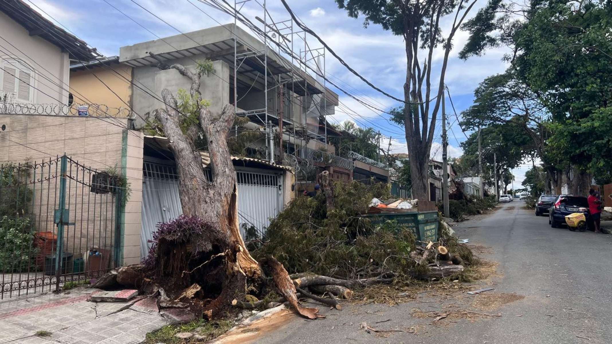 Árvores caem na Rua Deputado Wilson Tanure, no Bairro Santa Amélia, na Região Pampulha, em BH-Edésio Ferreira/EM/DA Press